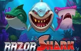 Joacă Razor Shark la NV Casino